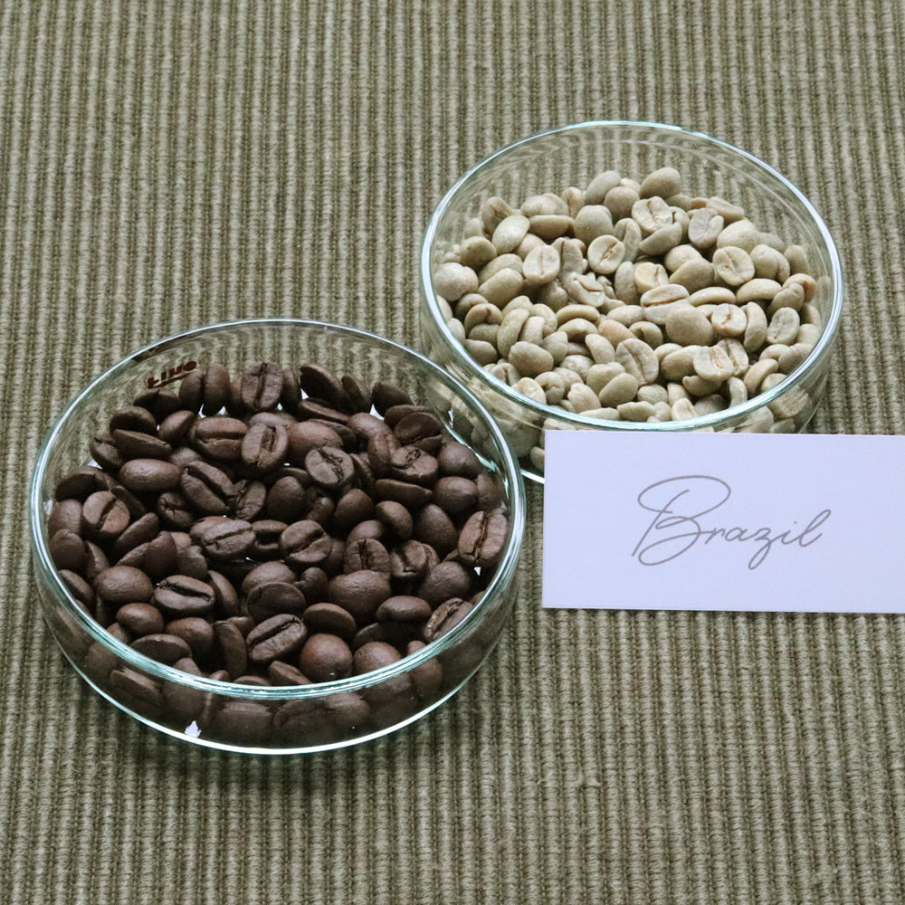 【定期便】BRAZIL SPECIALTY 100g
