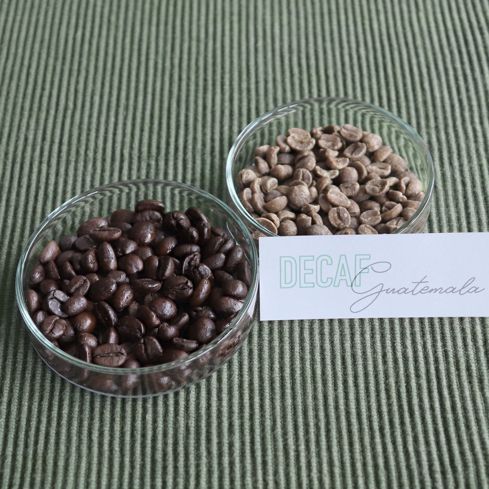 【定期便】GUATEMALA DECAFE