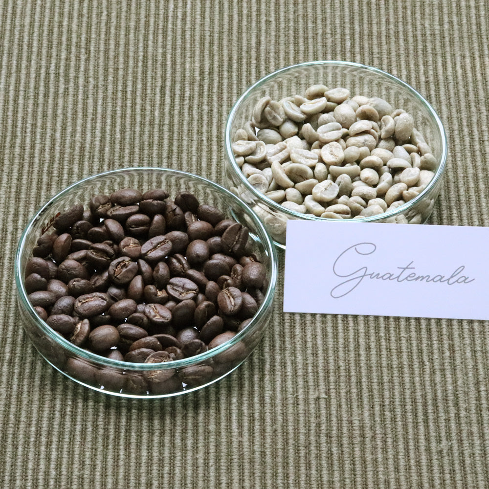 【定期便】GUATEMALA SPECIALTY 100g