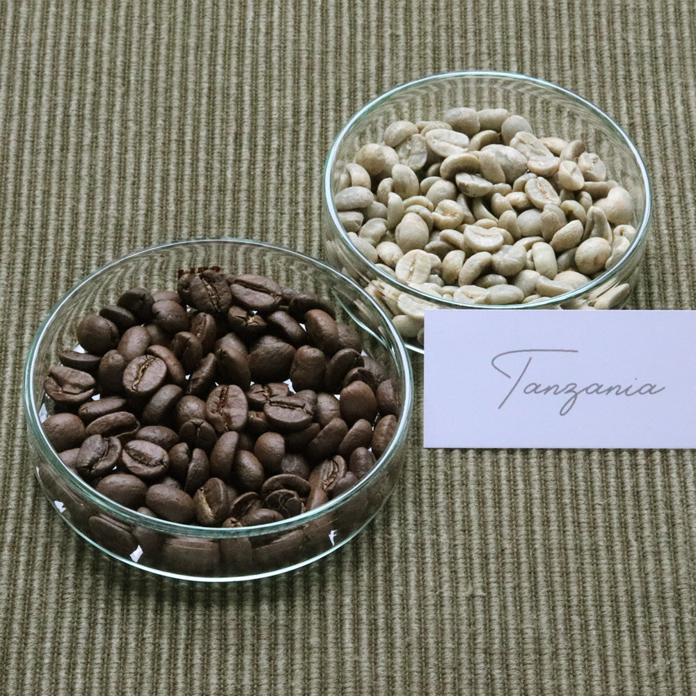 【定期便】TANZANIA SPECIALTY